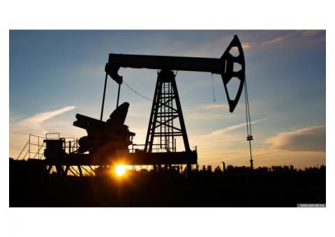 EN 590 PPM 10,  FOB   CIF.  LNG,LPG,   Mazum M100